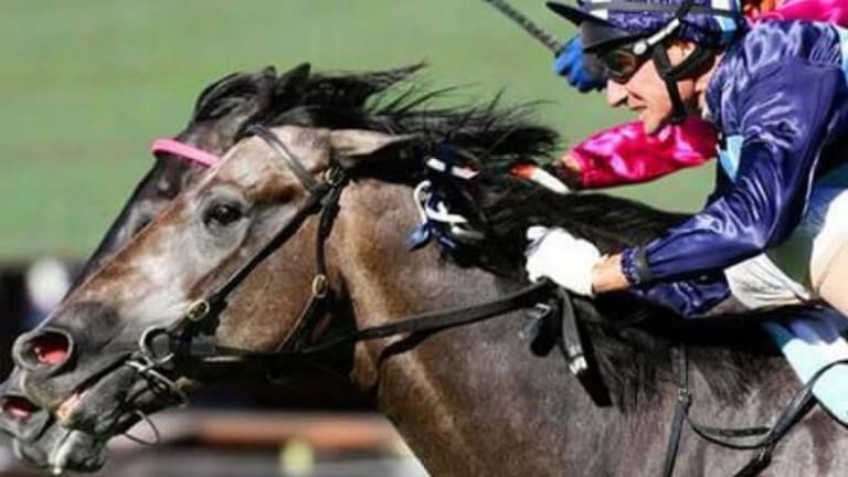 15 Undeniable Reasons to Love Horse Racing