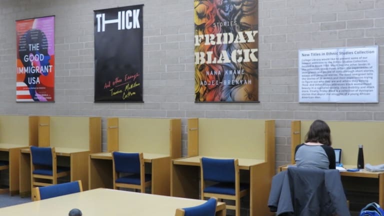 Ethnic Studies Curriculum Needed in California