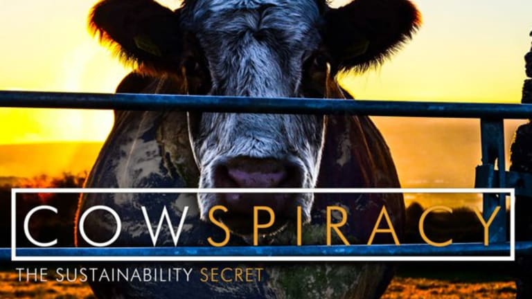Global Warming and Eating Meat: Reflections on Cowspiracy