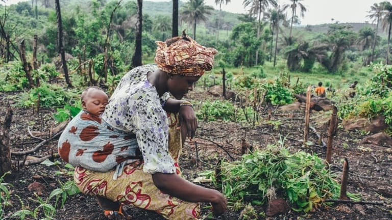 The Gates Foundation’s “Green Revolution” in Africa