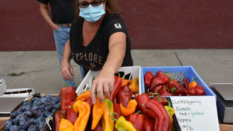 Pandemic Left 250 Million People With Acute Food Shortages