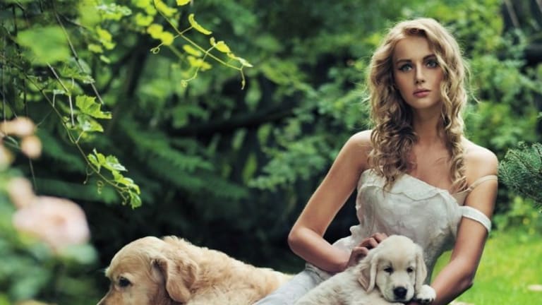 Treating Animals With Kindness: How to Take Care of Your Own Pet