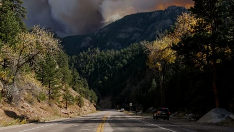 Pacific Northwest Forests: After the Fires