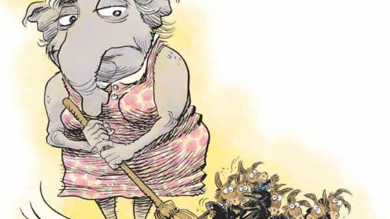 Eight Hotly Debated Issues … From the Election That Never Was