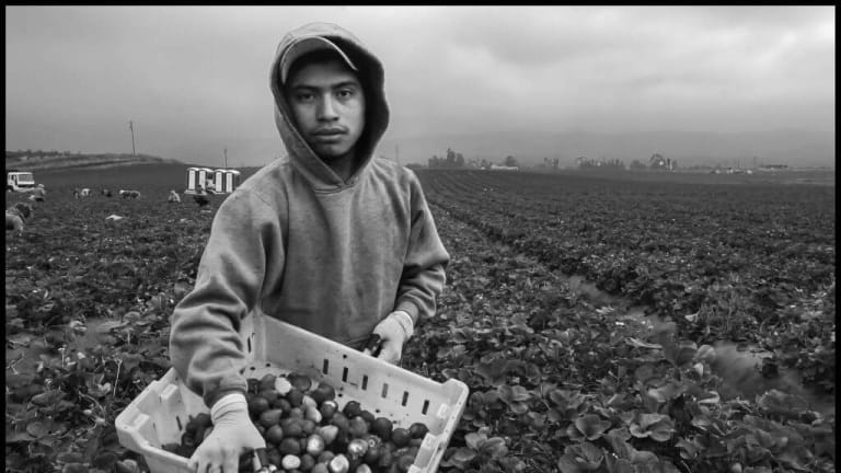 David Bacon’s Portraits of “Invisible” Farmworkers