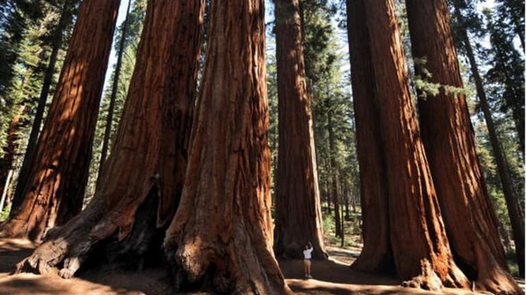 Think Big, California!