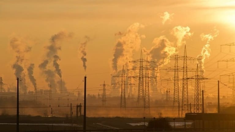 What Can You Do to Stop Climate Change?