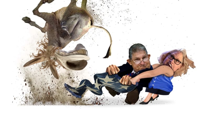 How to Understand Manchin and Sinema