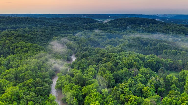 The Court of Ecological Awareness