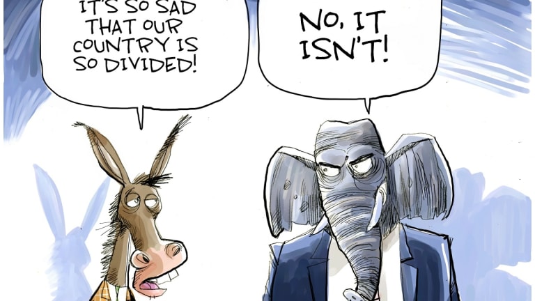 All This "Polarization?" Cause or Symptom?