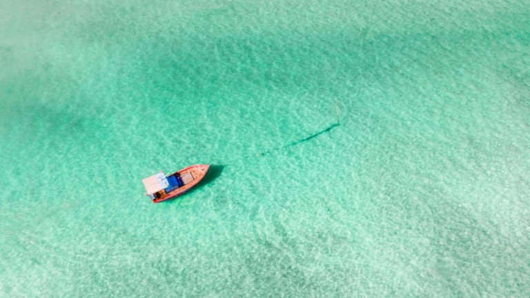 Climate Crisis and Insurance Companies' Role