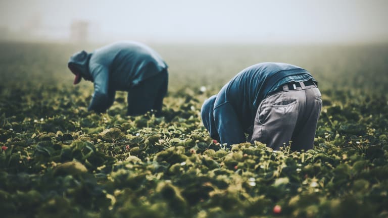 Medi-Cal Benefits for Undocumented Workers Expanded