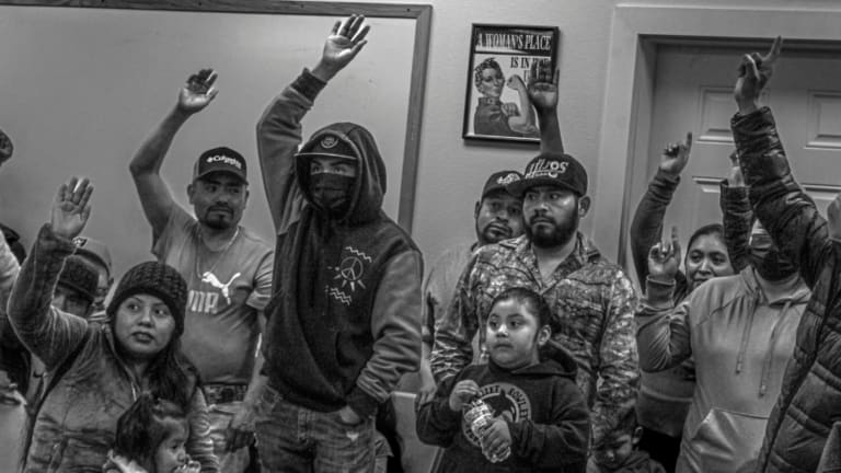 Trouble in the Tulips: Farmworker Quick Strike Wins Basic Demands