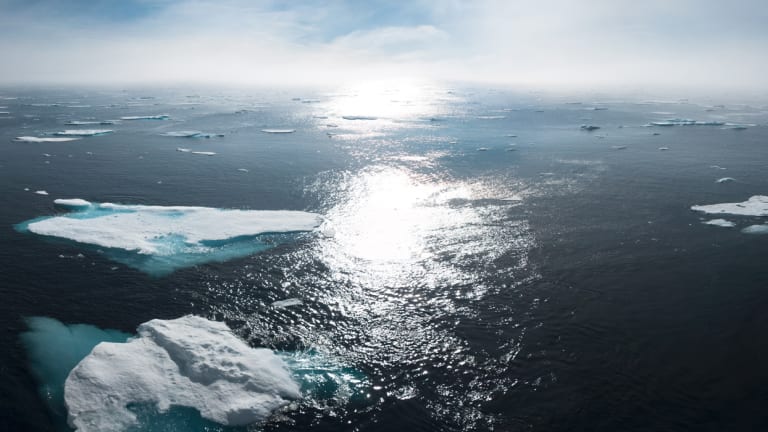 The Urgent Need for Climate Action