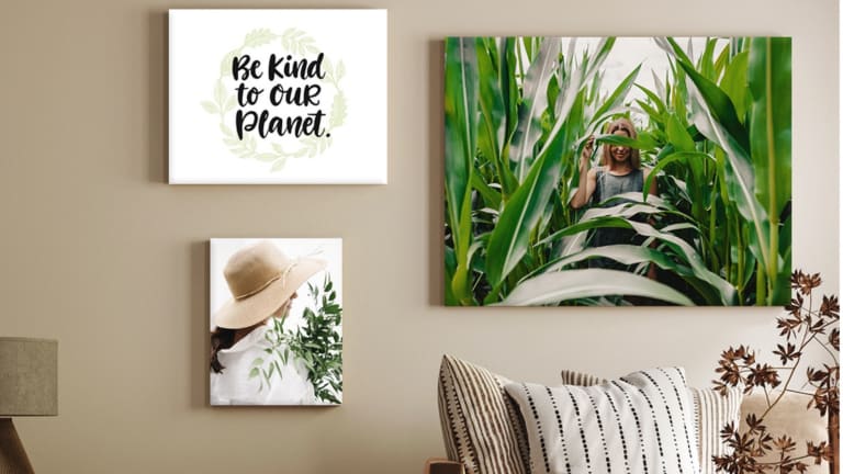 The Journey Towards Environmentally Friendly Canvas Prints