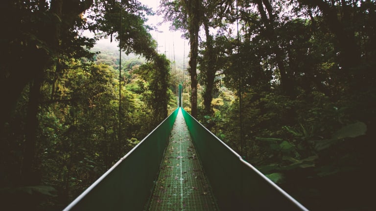 Costa Rica Protects Biodiversity and Made It Accessible