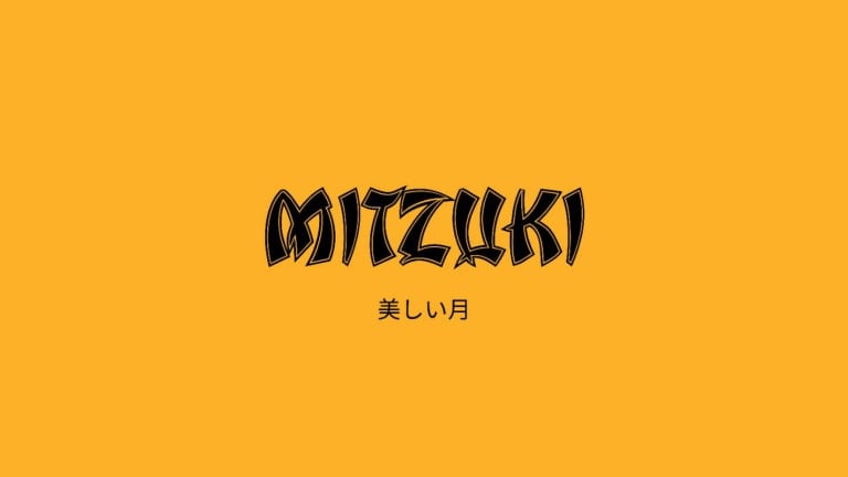 The Mitzuki Adventures project is set to become one of the biggest projects in the NFT world in the coming months