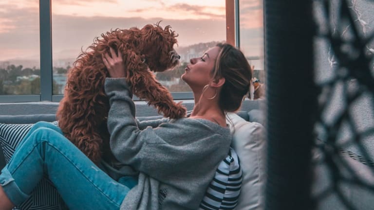 Tips for Making the Right Choices with Pet-Friendly Rentals in Los Angeles
