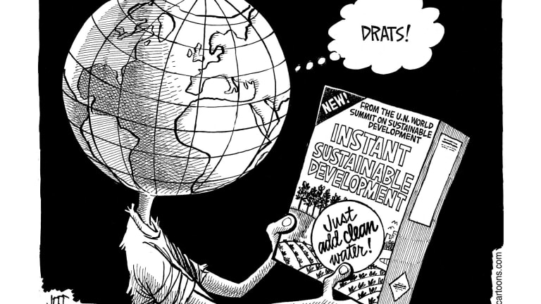 From Limits to Growth to Regeneration 2030