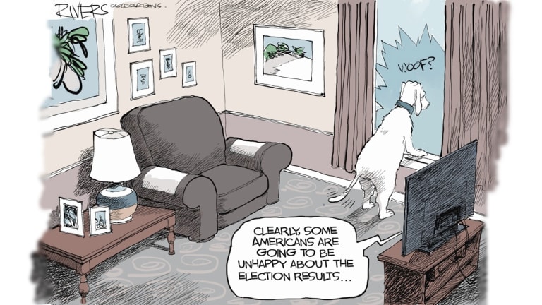 Should We Ignore Pollsters?