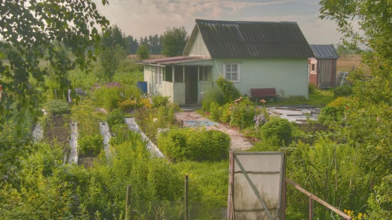A Food Shortage Solution in Our Own Backyards