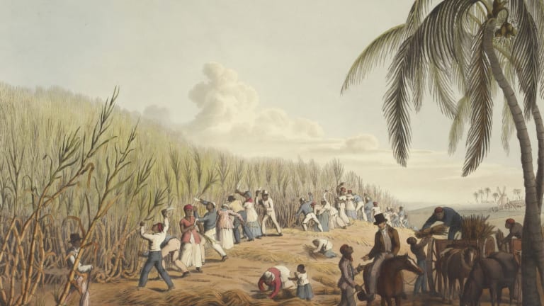 Coups and Stolen Elections: American History, Chronicled