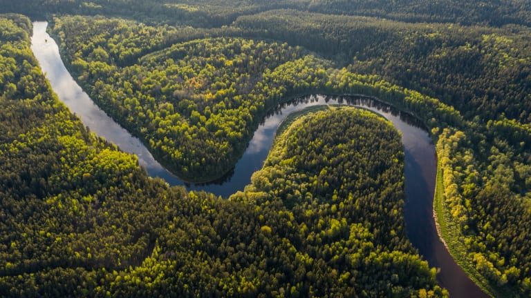 Brazil's Military Amazon Deforestation: The Massive Role They Play