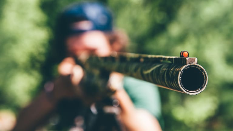 Taking Aim at Gun Violence