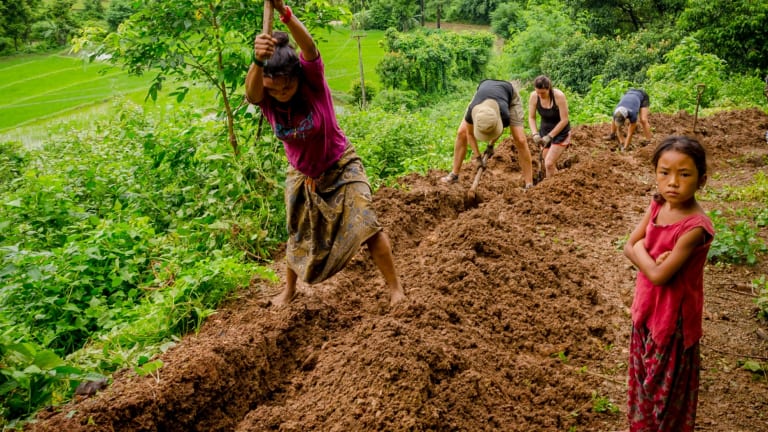 As Global Food Systems Collapse, Achieving Self-Funding Local Sovereignty