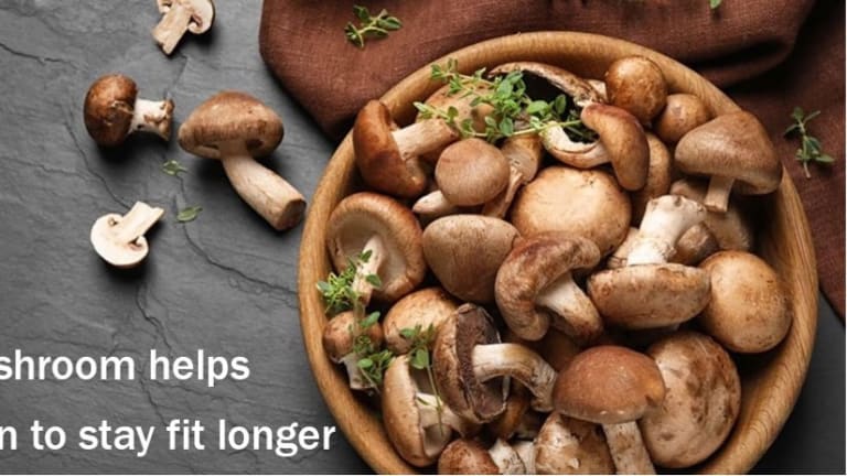 Mushroom Helps Men to Stay Fit Longer