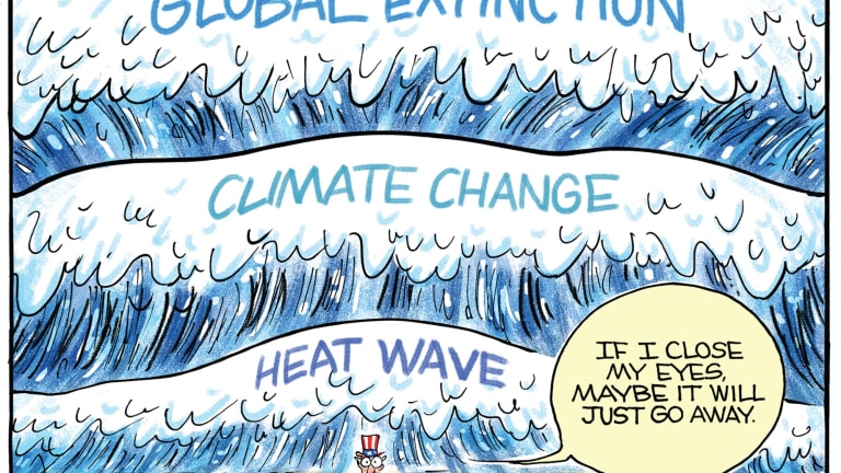 A Gastric Bypass for Global Warming