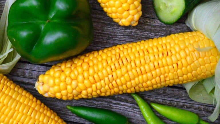 Can Global Food Shortages Be Prevented ?