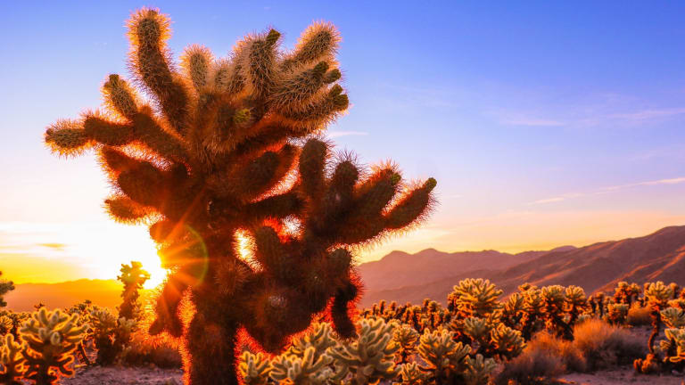 How Climate Change Threatens Most Iconic U.S. Landscapes