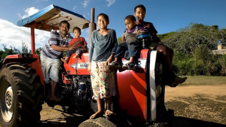 Pacific Islander Food-Sharing Customs Can Buffer Disaster