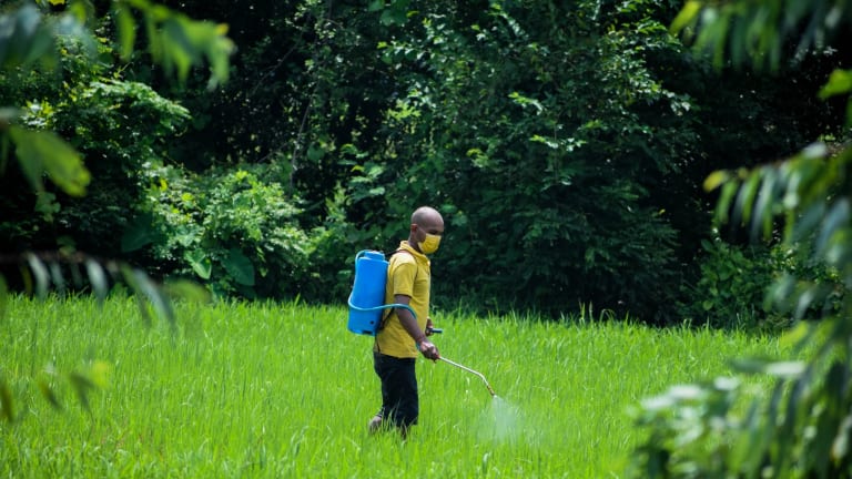 Farm Workers Need Better Protections