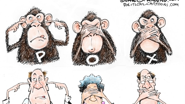 Delayed Monkey Pox Response: Have We Learned Anything?