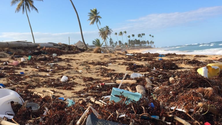 If We Don’t Act Now, 600 Million Metric Tons of Plastic May Fill Oceans by 2036