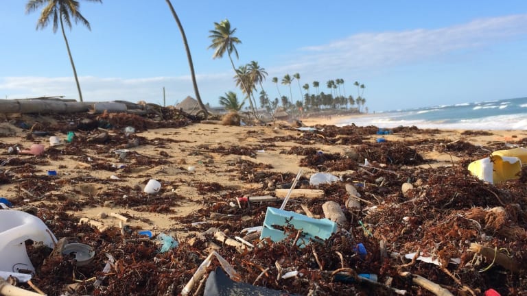 The Plastics Paradox Facing Humanity