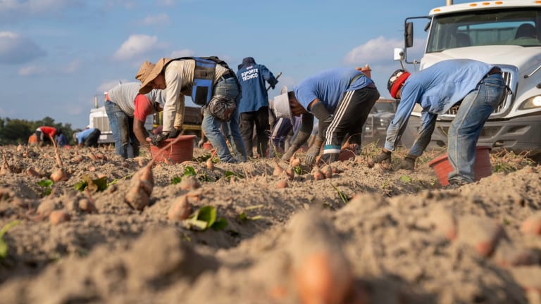 Justice for California Farmworkers