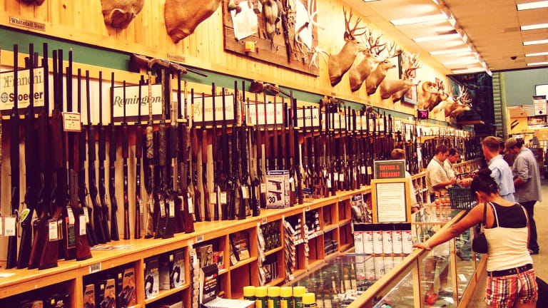 Second Amendment in the Crosshairs