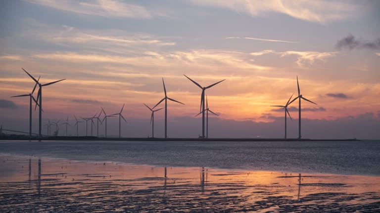 Anti-Green Critics Ignore Global Solution to a Global Problem