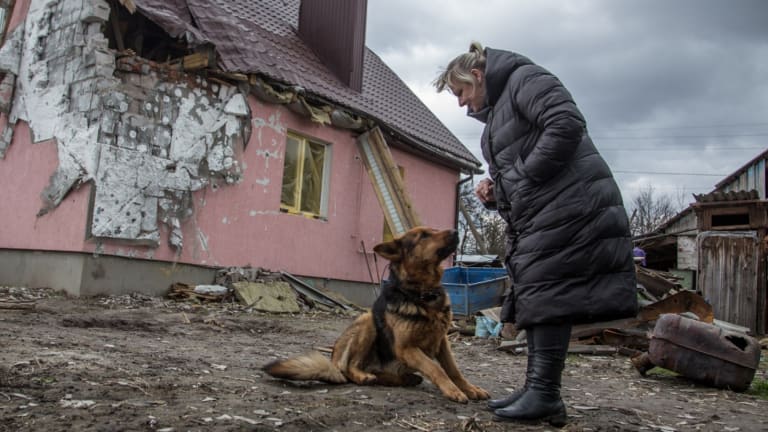 Those Premature Predictions of a Ukraine Victory