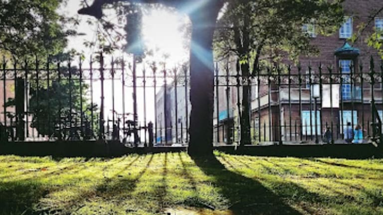 The Pros and Cons of Living in a Gated Condo or Apartment Block in LA