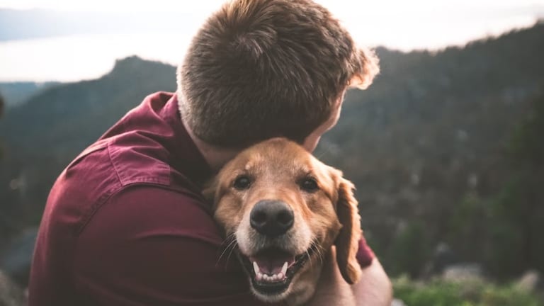 Pet Therapy: How Animals Improve Human Mental Health