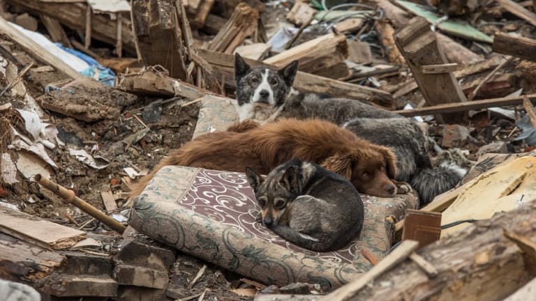 What Climate Change Should Have Taught Us