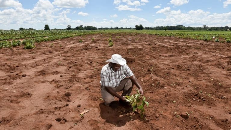 What Now With Climate Reparations Finally on the Table?