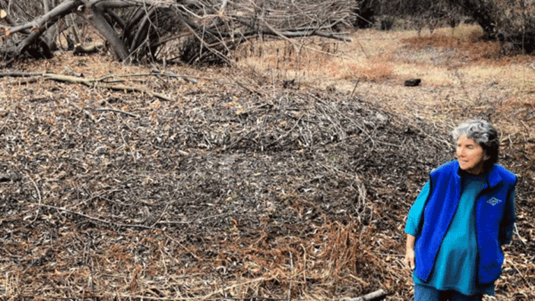 How Will California’s Agriculture and Urban Centers Survive Ever-Worsening 500-Year Drought?
