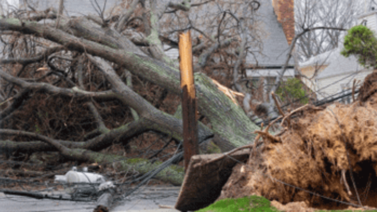Rockaway Forgotten After Sandy