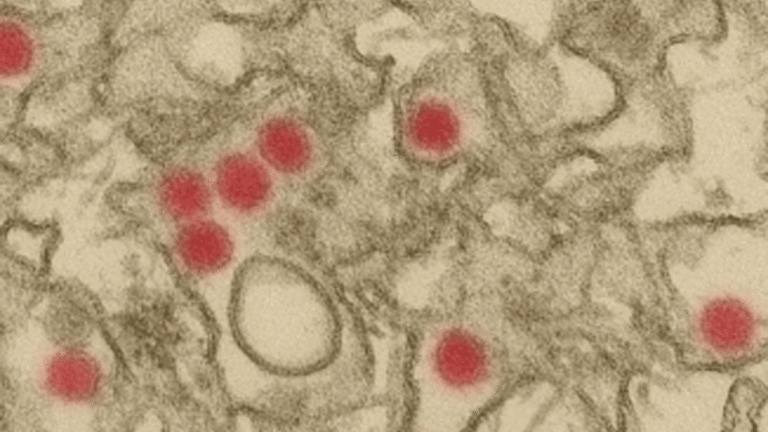 Is Protecting Public Health Now a Partisan Issue?