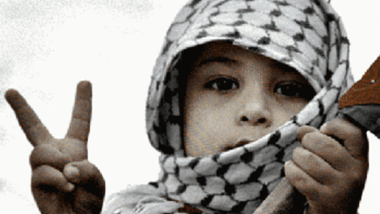 Palestine: “Well…It Is an Occupation!”